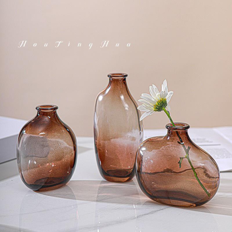 Irregular Glass Vase for Hydroponic Plants - Small Decorative Holder for Living Room Flower Arrangements