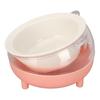 Cat Bowl Prevent Slip Dishwasher Microwave Safe Ceramic Raised Pet Dish with Tilted Stand for Food Water