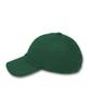 DOLPHIN WAVE APPAREL Кепка-бейсболка с вышивкой Dolphin Mini Глубокий зеленый