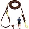 Cães – Colares e correias para cães