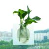 For Home Offices Wall Decorations Indoor Drilling-Free Sticky Wall Magic Plant Vases Reusable Home Decor Flower Vase Silicone Sticky Vase Wall-Mounted