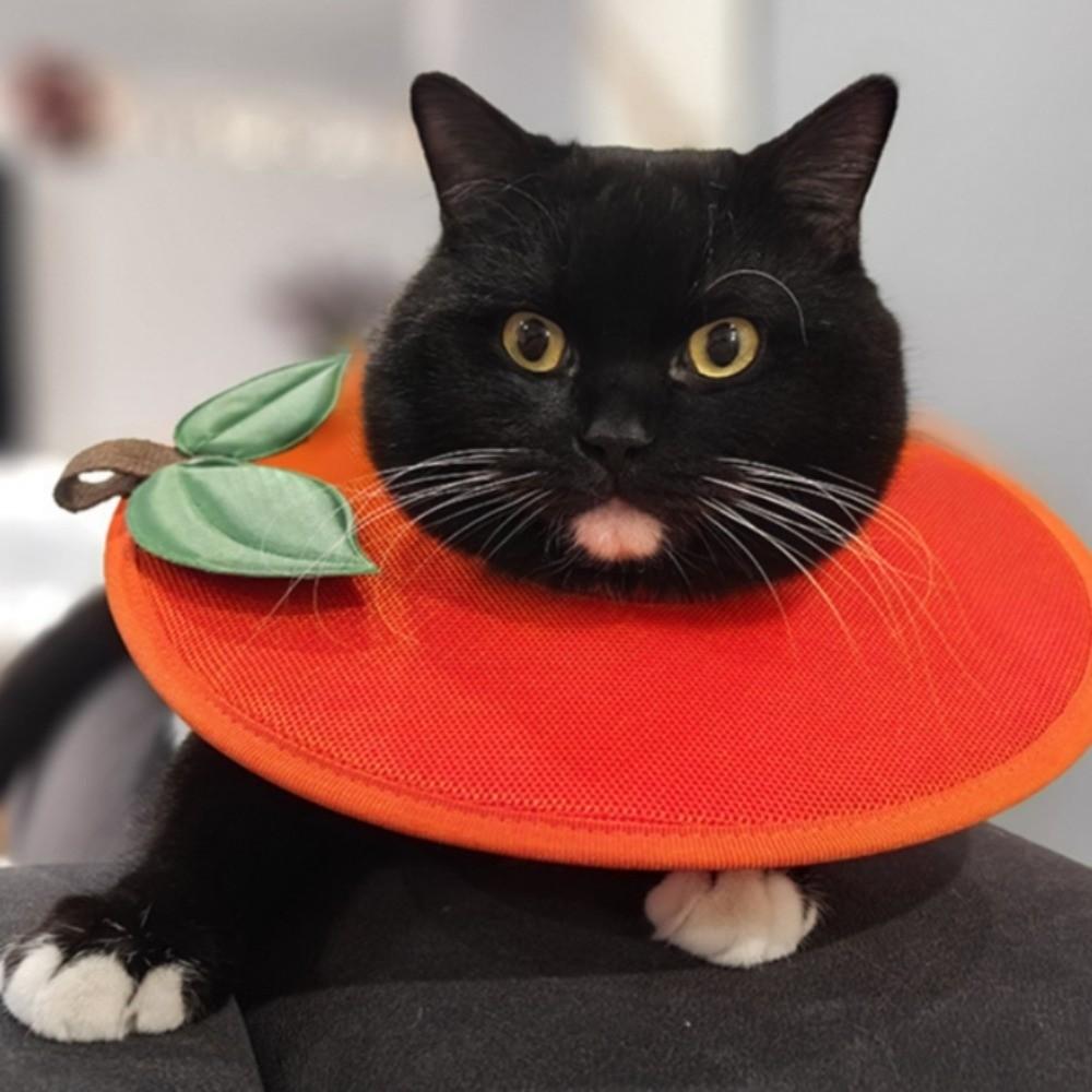 Soft Fruit Shape Kitty Recovery Collar Anti-biting Dog Protective Neck Cone  Stop Licking