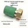 PPR Water Heater Union Pre-Filter Connector: 25 To 1 Inch, 4-6 Points, 32 Straight Elbow, Copper Water Pipe Fittings