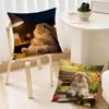 Rabbit Drinking Coffee cushion cover Best Home Office Coffee Pillow Sofa Printing Decoration Room Shop Car Nordic Simplicity Hit