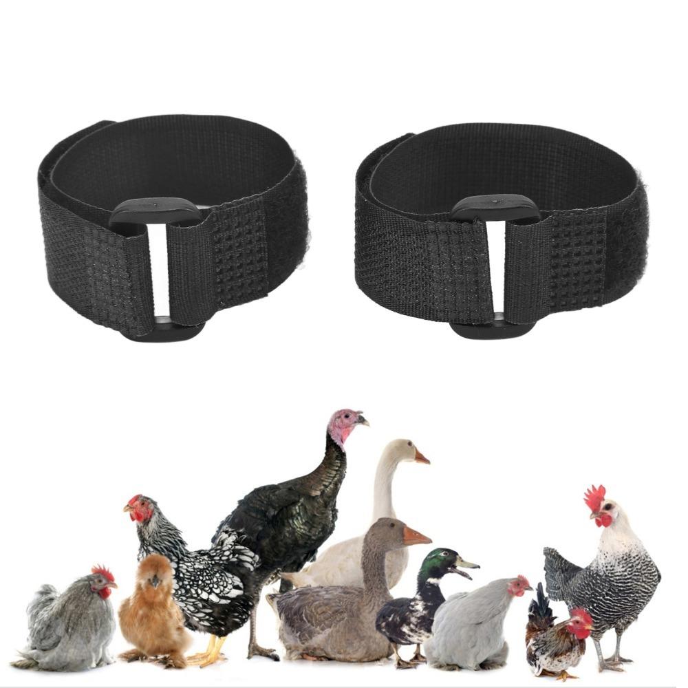2pcs Nylon Rooster Collar Durable Chicken Neckband Noise Free Collar For Ducks & Geese
