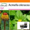 Garden in the Bag - Кресс-салат - 500 семян - С субстратом в подходящем пакете - Acmella oleracea