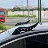 Curved Dragon Horn Spoiler: Unique Car Roof Decoration Fins