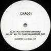 12-дюймовая пластинка JOEY KAY - Игрушечное пианино / (Ремонтник стиральных машин) 124R001 124 Записи 2012 США Танцевальная и Электронная музыка