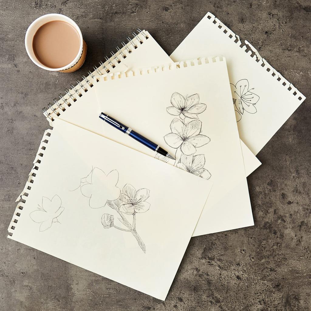 Шариковая ручка Sheaffer 300 Матовый черный лак