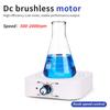 1L 300-2000RPM Magnetic Stirrer Laboratory Magnetic Mixer Portable Stirrers Machine with Mini Stir Plate Agitator EU Plug