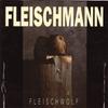 CD FLEISCHMANN - Fleischwolf N02042 Noise, Fluxus 1993 UK Rock Used