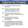 Машинка для стрижки собак и кошек, для животных, Аккумуляторная машинка для стрижки для груминга, Wachen