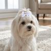 25Pcs Bow Shaped Pet Hair Bows Gradient Color Pet Hair Ties Pet Hair Rubber Bands  Daily Pet Styling