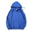 Unisex Long Sleeve Hooded Sweatshirt 350g Cotton Silk Blend Drop Shoulder Women's Blank Edition