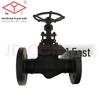Yaozi Yuanda Forged Steel Globe Valve