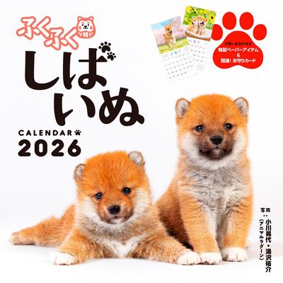Бонус 2026 Календарь Фукуфуку Сиба-ину x Бумажный календарь Сиба-ину [Включено только для покупателей] (Месячный/Настенный/420мм 210мм) (Включает "Милый предмет")