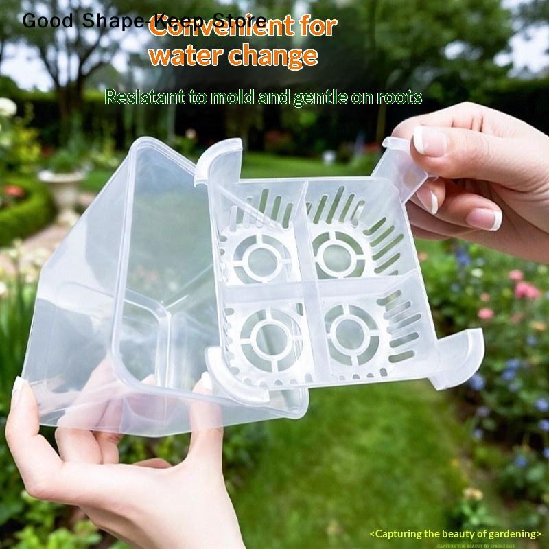 4 Holes Soilless Flower Pot Home Decoration Hydroponic Containers With Breathable Support Basket Tulip Seed Hydroponic Flowerpot