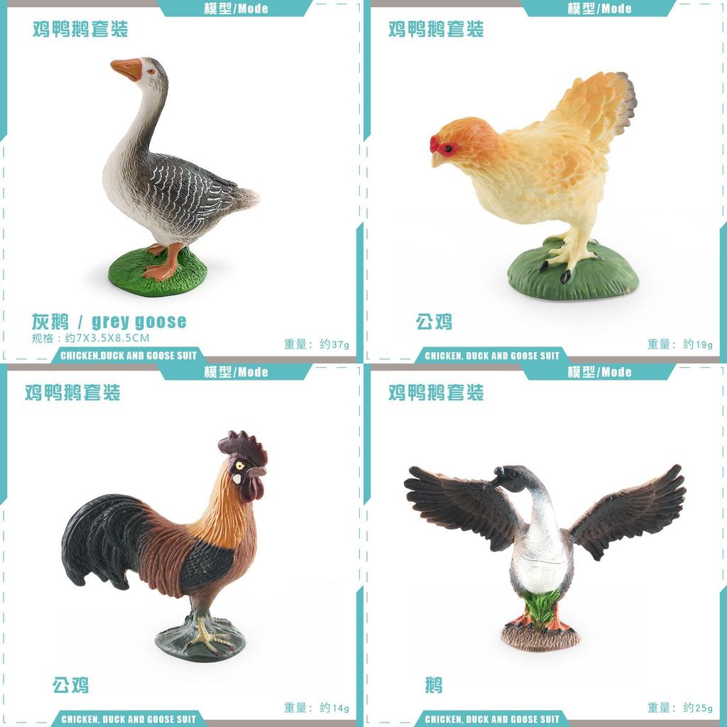 Farm Animal Chicken Duck Goose Model Set For Kids Education And Home Decor With Pvc Realistic Bird Figures