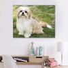 DIY Diamond Embroidery Shih Tzu Pet Dog 5d Full Round Round Drill Diamond Painting