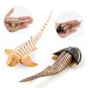 Lifelike Sea Creature Model Toy Set With Collectible Crocodile Dinosaur And Shark Designs