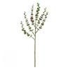 Artificial Eucalyptus Stem With Multiple Colors For Home Decor Photography Props