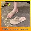 Flip-flops Cool Slippers Flat Bottom Summer 2025 New Fashion Versatile High Sense with Skirt Net Red Outer Wear Women