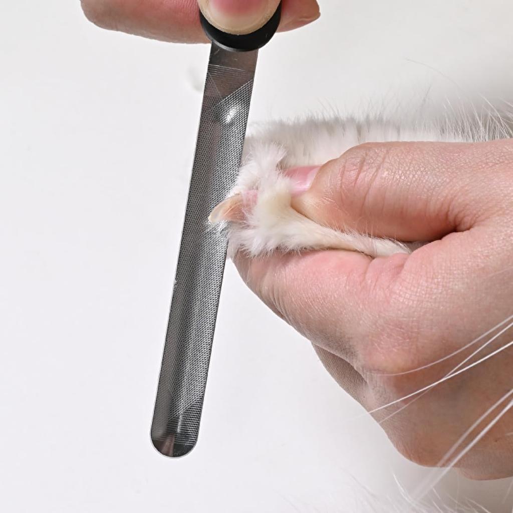 Пилка для когтей Green Bell Pet Curve PE-003