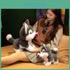 Husky Creative Rose Plush Toys Cute Valentine Days Girls Boys Gifts Holiday