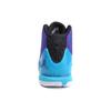 Air Jordan Super.Fly 4 'Фэншуй' 801553-419