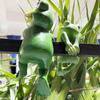 Planter Frog Figurine Resin Frog Flowerpot Decoration Flower Pot Edge Hanging Frog for Garden Potted Plants Bonsai