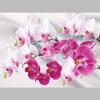 Diamond Diy Full Round 5d Painting Buddha Pure Land Diamond Embroidery Cross Stitch Rhinestone Mosaic Sale Home Decoration