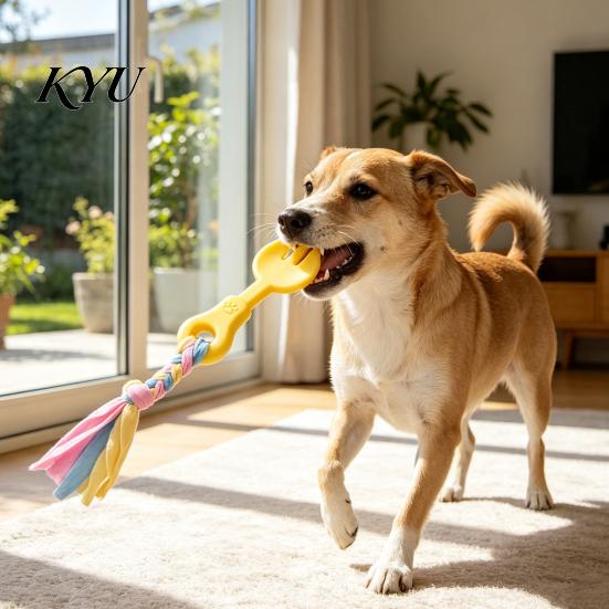 Indoor Outdoor Interactive Toys Pet Molar Teeth Cleaning Fork Toy, Durable Woven Rope Training Macaron for Dogs Colors TPR Chew Toy Gum Massage