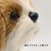 BH7030 HANSA Shih Tzu 30