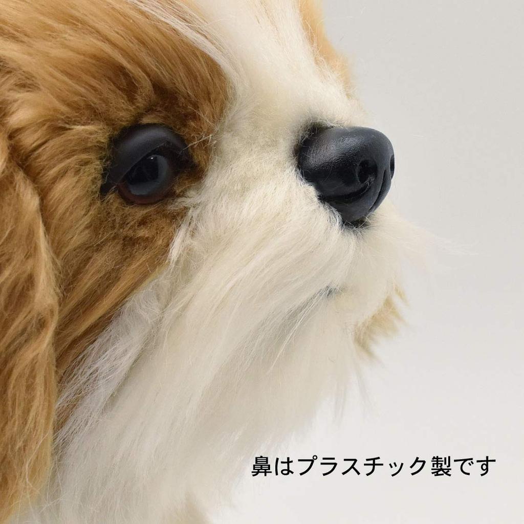 BH7030 HANSA Shih Tzu 30
