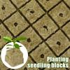Seed Growth Sponge Block Planting Sponge Hydroponic Cuttings Grow Media Cube Plant Propagation Grow Block for Garden Wholesale