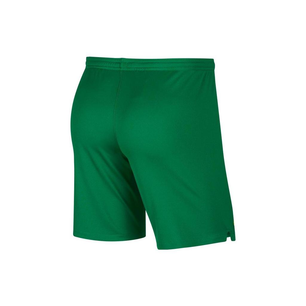 Nike Мужские футбольные брюки Сосново-зеленый/Опаловый желтый CI7631-302