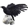 Black Crow Decoration Halloween Realistic Feathered Crows Haunted House Decor for Party Decoration