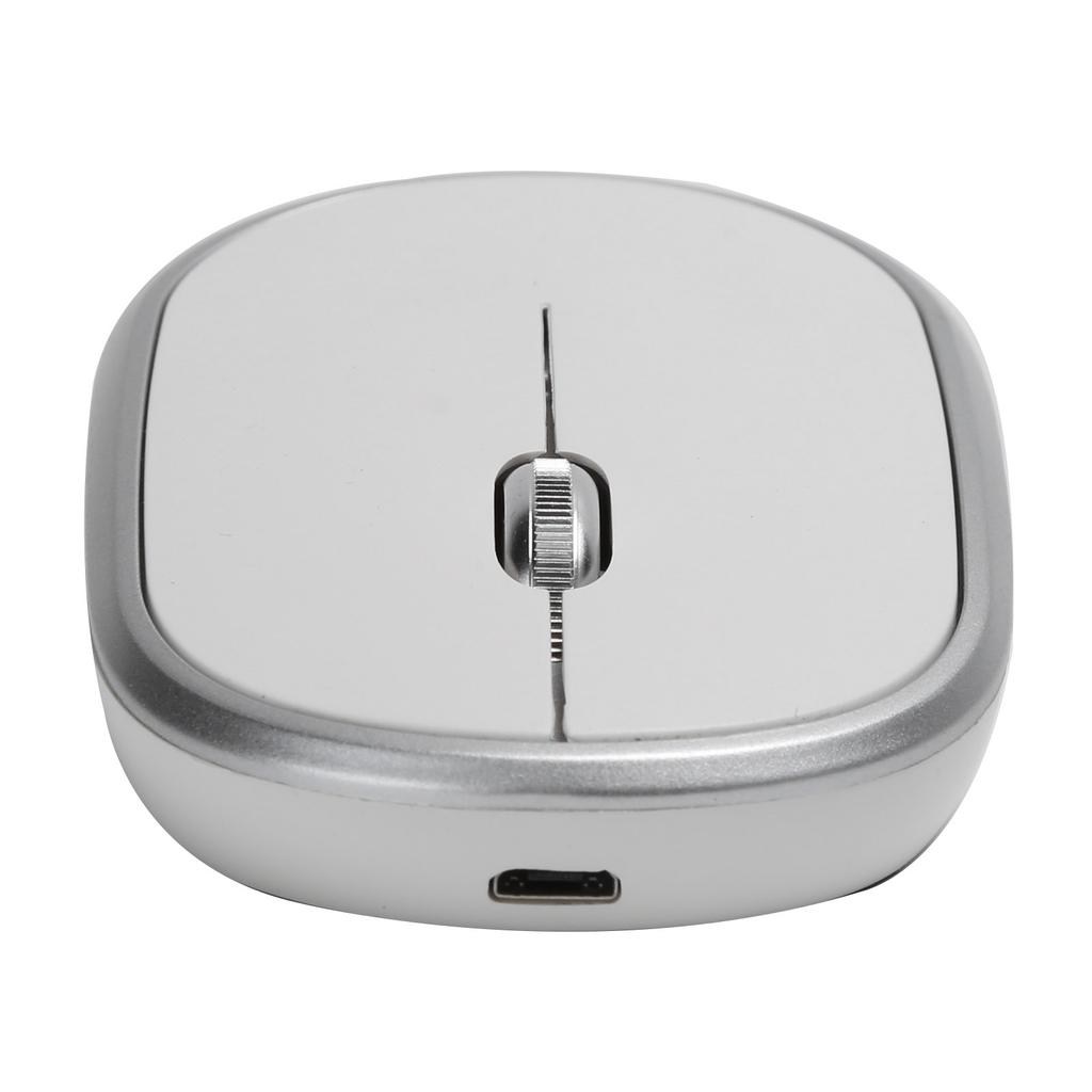 Wireless Mouse DPI Adjustable Chargable Optical Computer External Device with USB ReceiverSilver