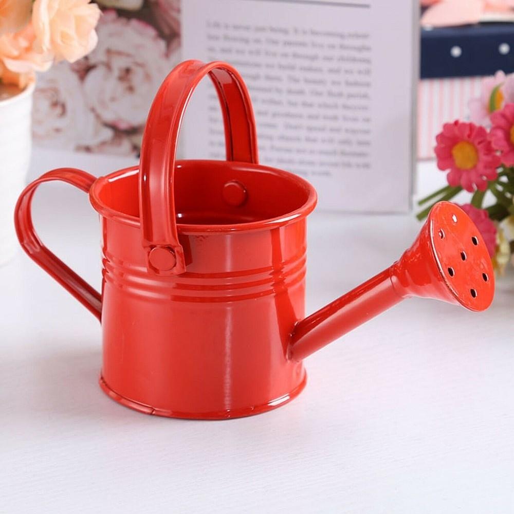 Garden Vintage Kawaii Watering Can Flower Kettle Water Spraying Pot Metal