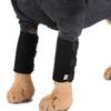 for Wound Recovery Dog Leg Protective Cover Dog Front Leg Brace Puppy Elbow Pad Pet Knee Pads