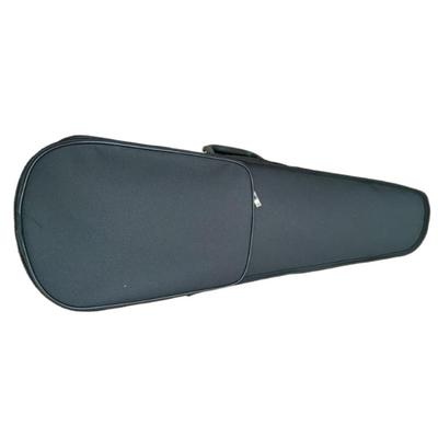 Популярный треугольный кейс для путешествий на скрипку