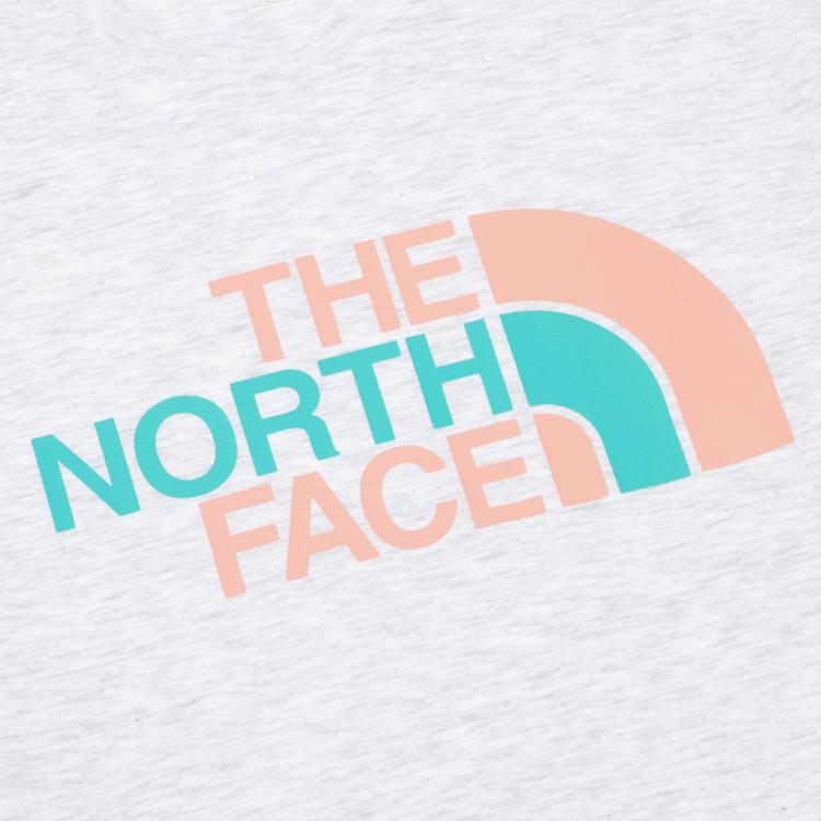 THE NORTH FACE T-Shirts Men's Light Gray Crew Neck Moderate Straight Fit NT7UN17L