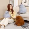 Simulation Kiwi Bird Doll Plush Toy Kiwi Bird Doll Kindergarten Children Soothing Rag Doll