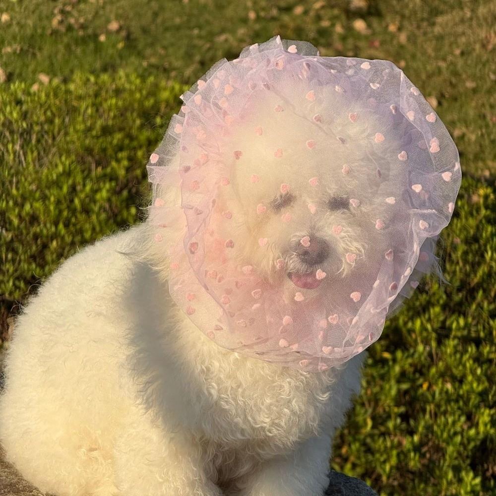 Breathable Dog Anti Licking Headgear Adjustable Dog Protective Mask Prevent Random Eating