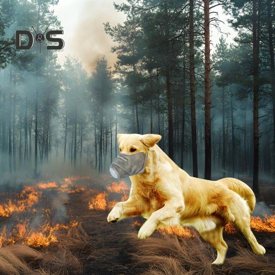 3 шт. многоразовый воздушный фильтр для собак, регулируемая противопылевая подушка для лица собаки, дышащий респиратор для домашних животных, намордник для больших и маленьких собак