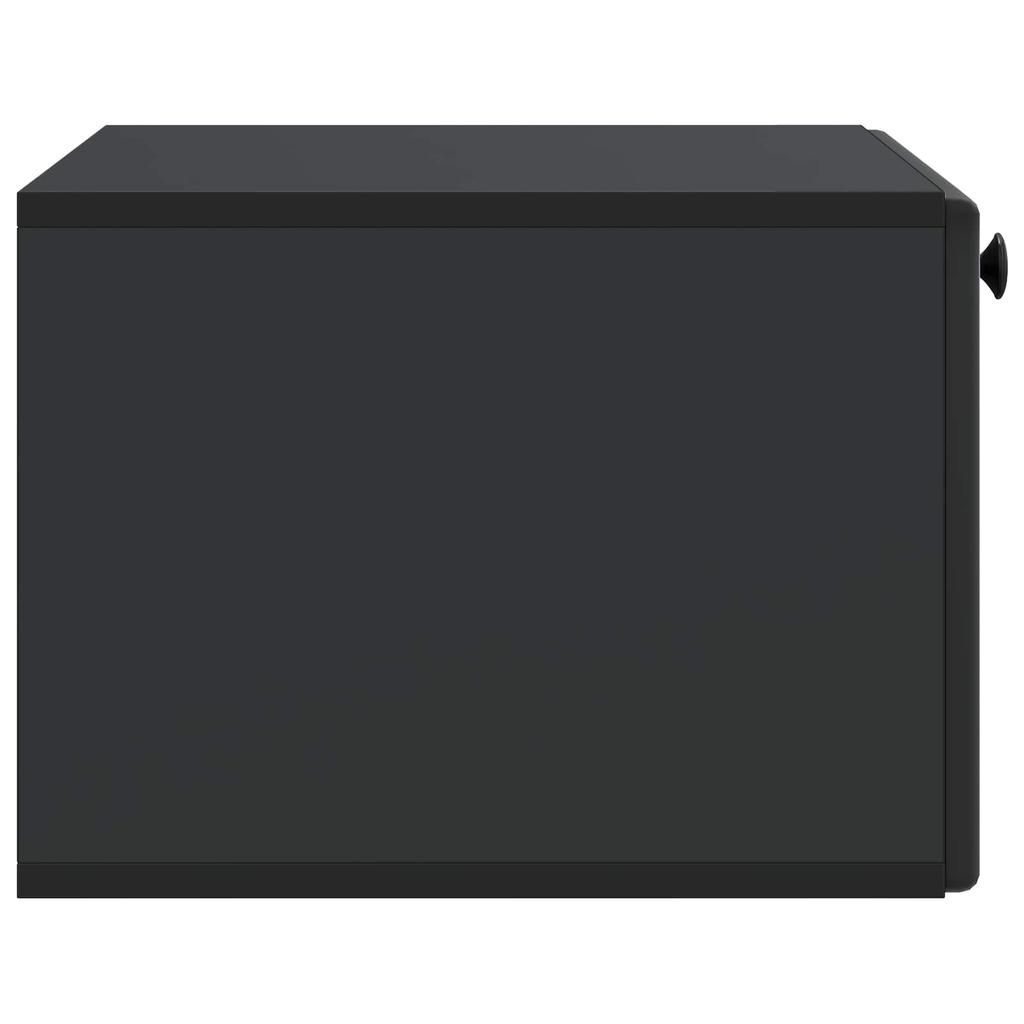 Wall Mounted TV Cabinet 59.5 x 41 x 30 cm Black