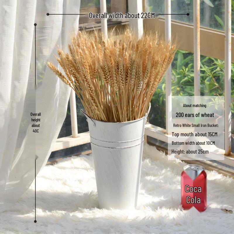 Natural Wheat Ear Dried Flower Bouquet: Barley Decor for Living Room, Bedroom, or Shop