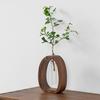 Hydroponic Plants Test Tube Vase with Wooden Stand Clear Flower Vase Table