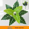 Persian Style Green Wall Hanging Grass Decoration for Indoor & Balcony Background