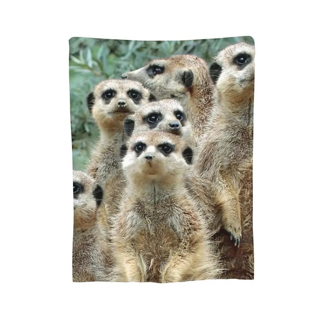 Meerkat 012 Blanket Soft Warm Flannel Throw Blanket Cover for Bed Living Room Picnic Travel Home Sofa